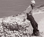 Nemuritorul 1 (2691) Nemuritorul 1