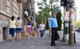 Orasul, gaboru, caini si trecatorii... (2062) Orasul, gaboru, caini si trecatorii...