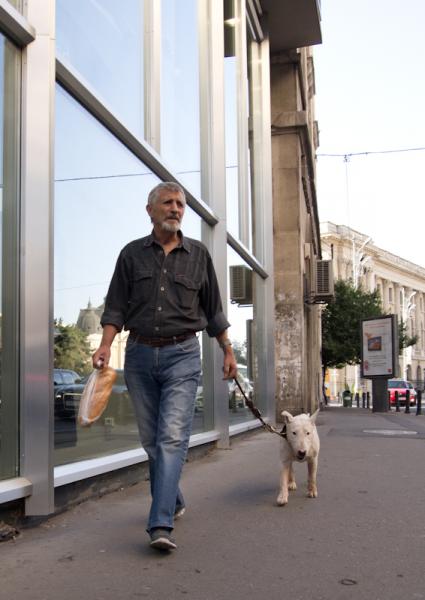 How to walk a dog?