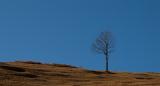 Solitudine (1725) Solitudine