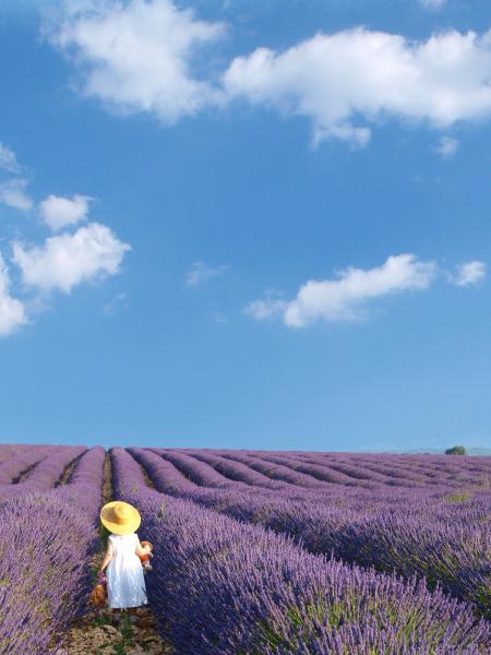 lavanda...