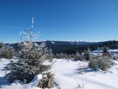 Iarna