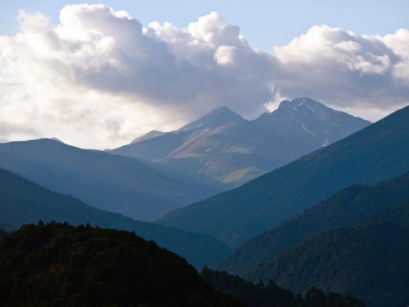 fagaras