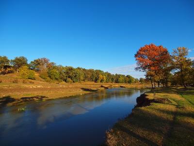 Autumn colors