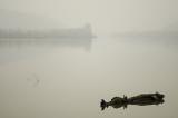 calm... (2155) calm...