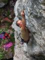 climbing (2363) climbing