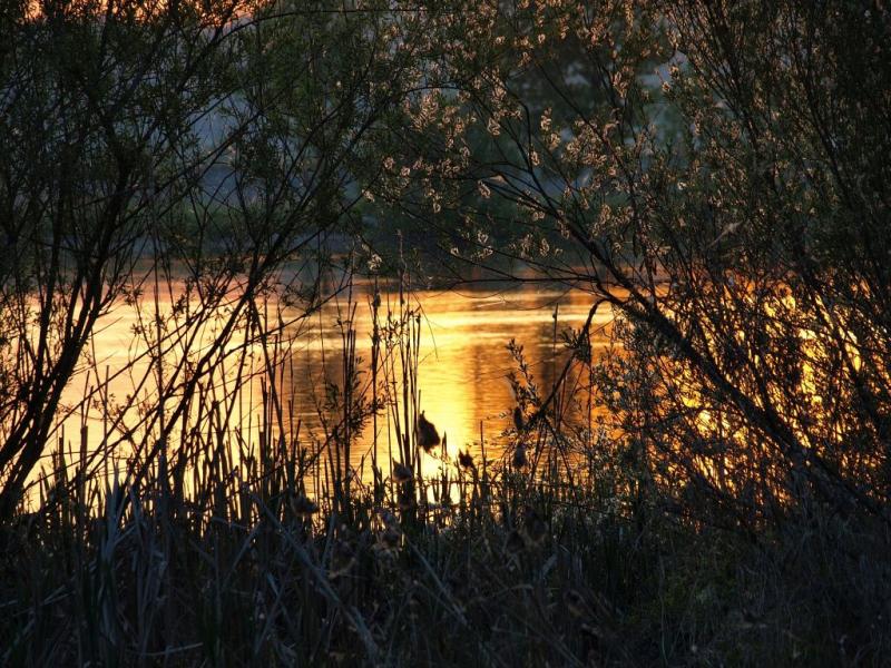 lake sunset