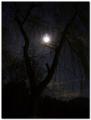 luna (1846) luna