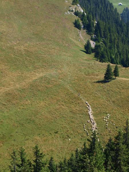 pietrele doamnei 3