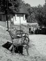 Cetatuia Cluj (1951) Cetatuia Cluj