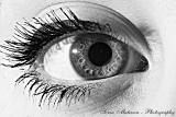 iris (2217) iris