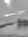lacul (2079) lacul