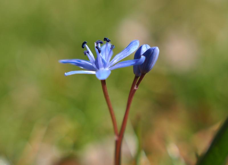 blue is the warmest colour